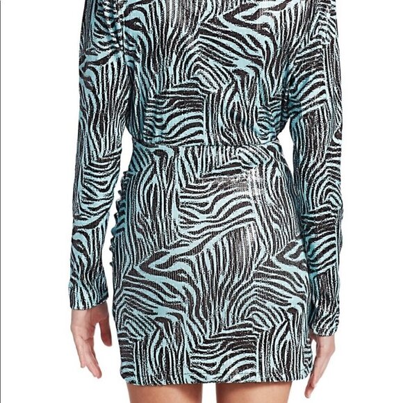 🤍 Andamane Colette Zebra Print Long Sleeve Mini Dress - XS/0 - Picture 5 of 6